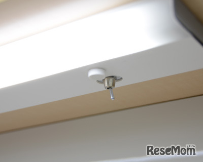 Fashion Light-蛍光灯-