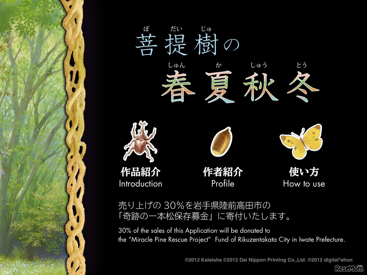 菩提樹の春夏秋冬