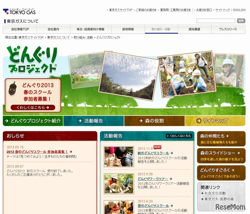 どんぐりプロジェクト（webサイト）