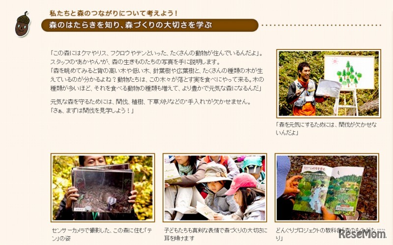 2012年秋のどんぐりスクール