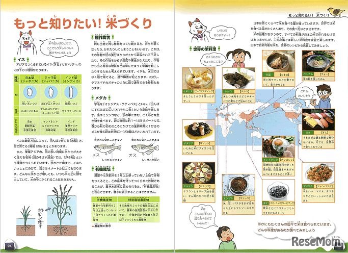 環境学習ブックス「命のみなもと～水と米～」