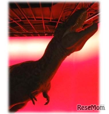 ティラノサウルスの模型