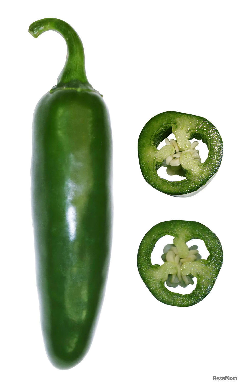 こどもピーマン