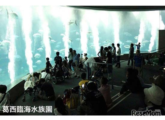 葛西臨海水族園