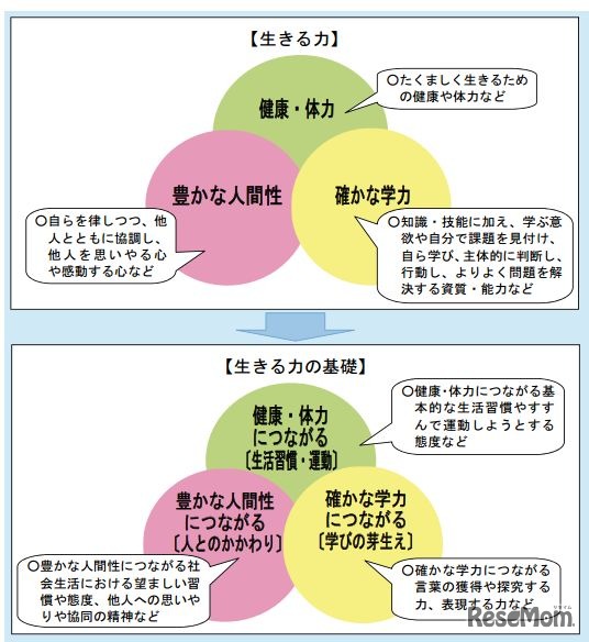 生きる力の基礎
