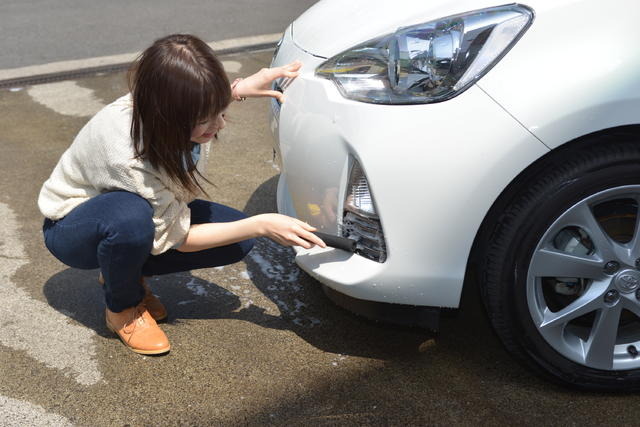 2WAYブラシすきま用（ハンディ・クラウン）