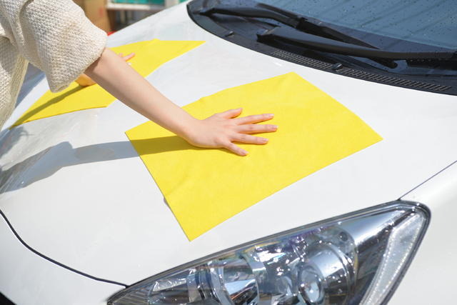 スピーディ吸水クロス（ハンディ・クラウン）