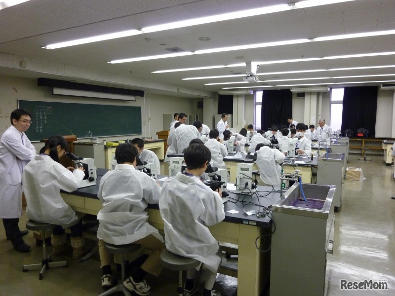 千葉市未来の科学者育成プログラム