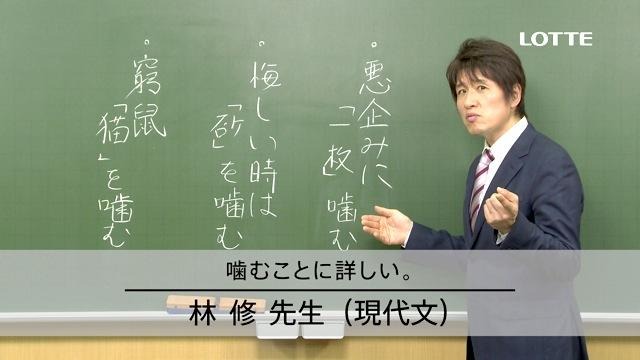 じゃあ君は何を噛むの？ ガムでしょ！