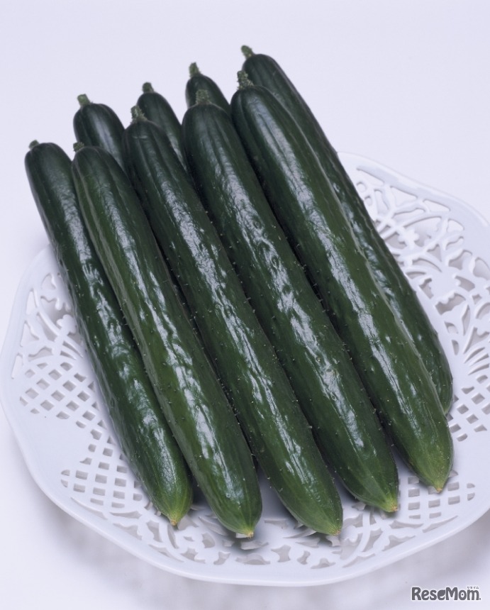 きゅうり（Vアーチ）