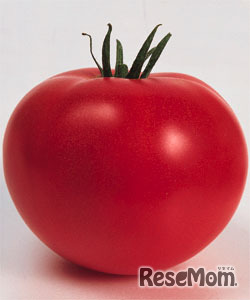 トマト（ホーム桃太郎EX）