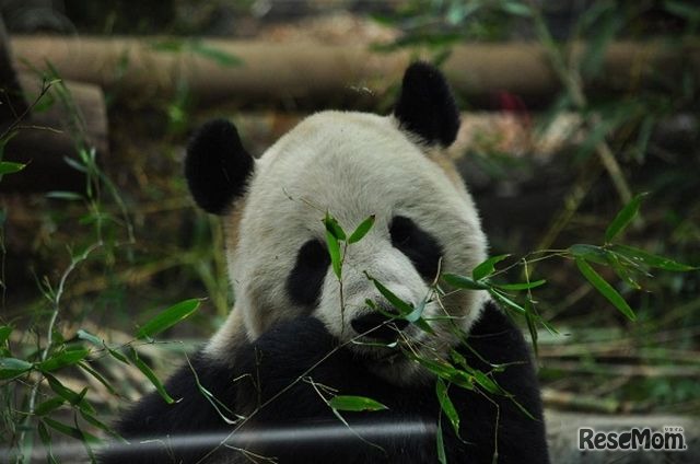 東京都恩賜上野動物園