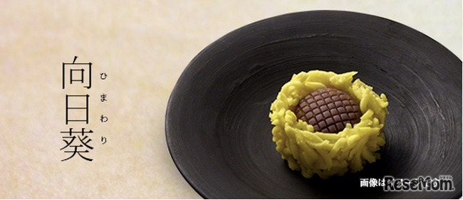 上生菓子のイメージ