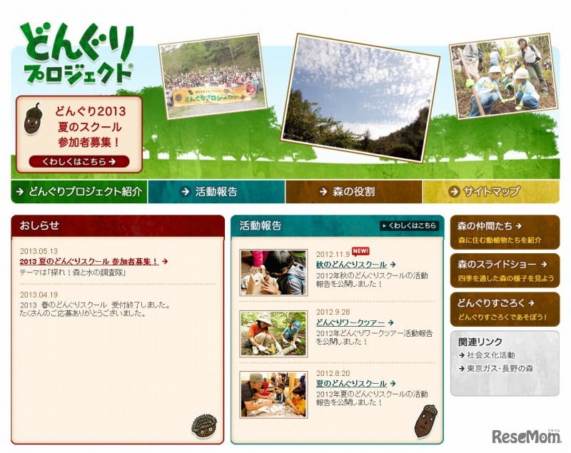 どんぐりプロジェクト