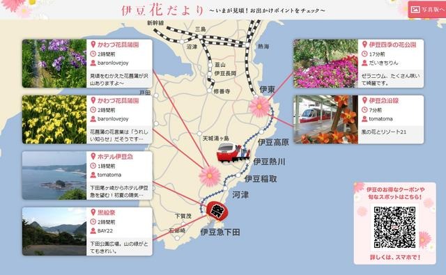 デジタルサイネージ向け「伊豆花だより」（タブレット端末、汎用ディスプレイ向け画面）