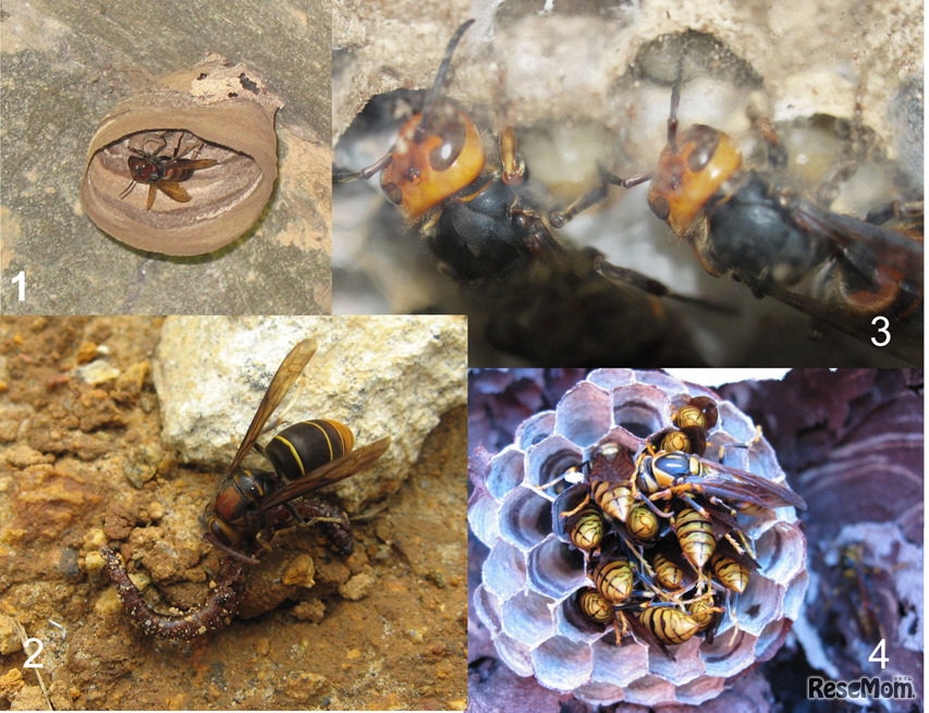 ホームページで紹介しているサンプル作品