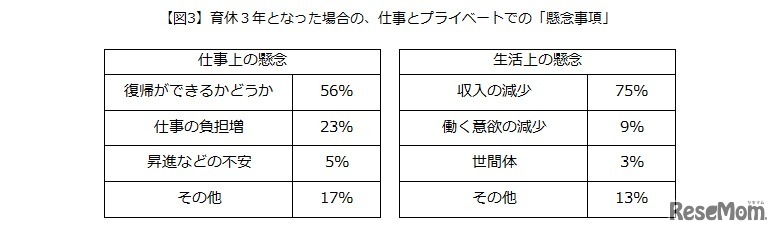 育休3年制度についての懸念事項