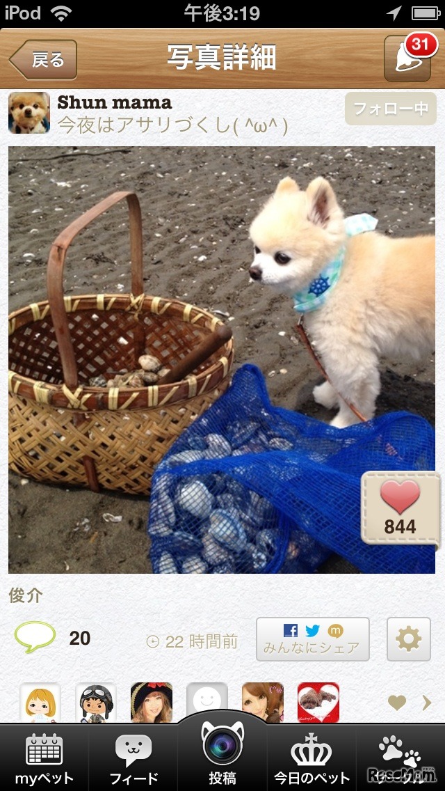 パシャっとmyペット、俊介君の潮干狩りショット