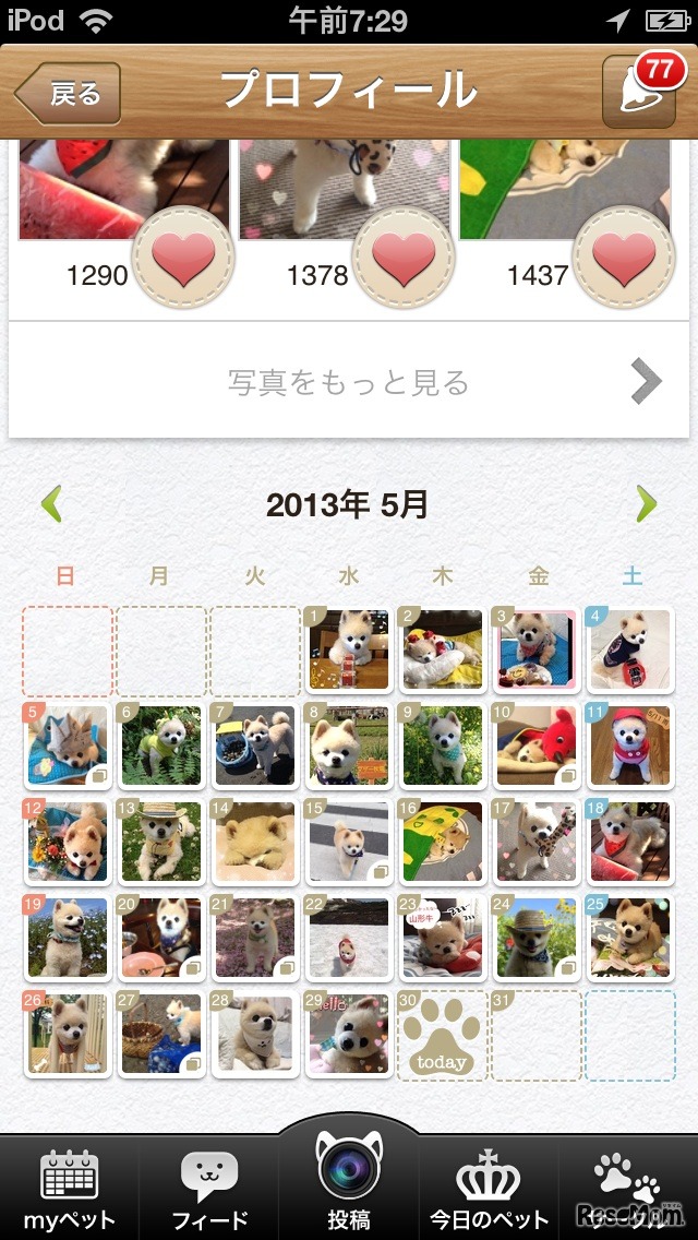 パシャっとmyペット、俊介君のカレンダー風アルバム