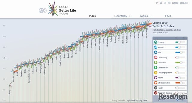11分野の総合ランキング