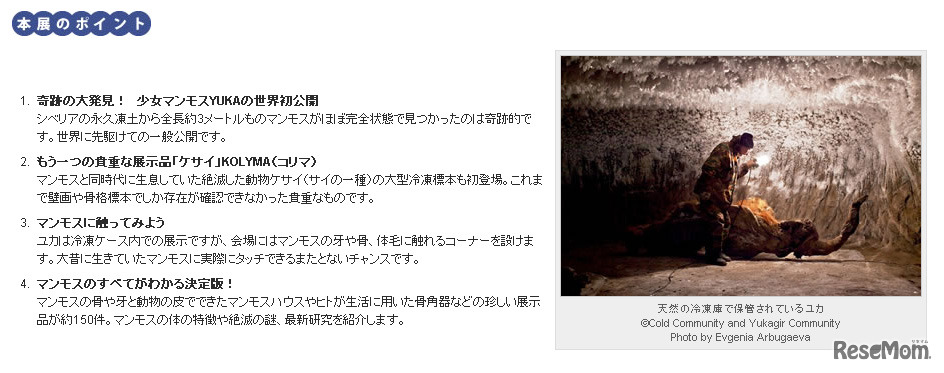 特別展マンモスYUKA（webサイト）
