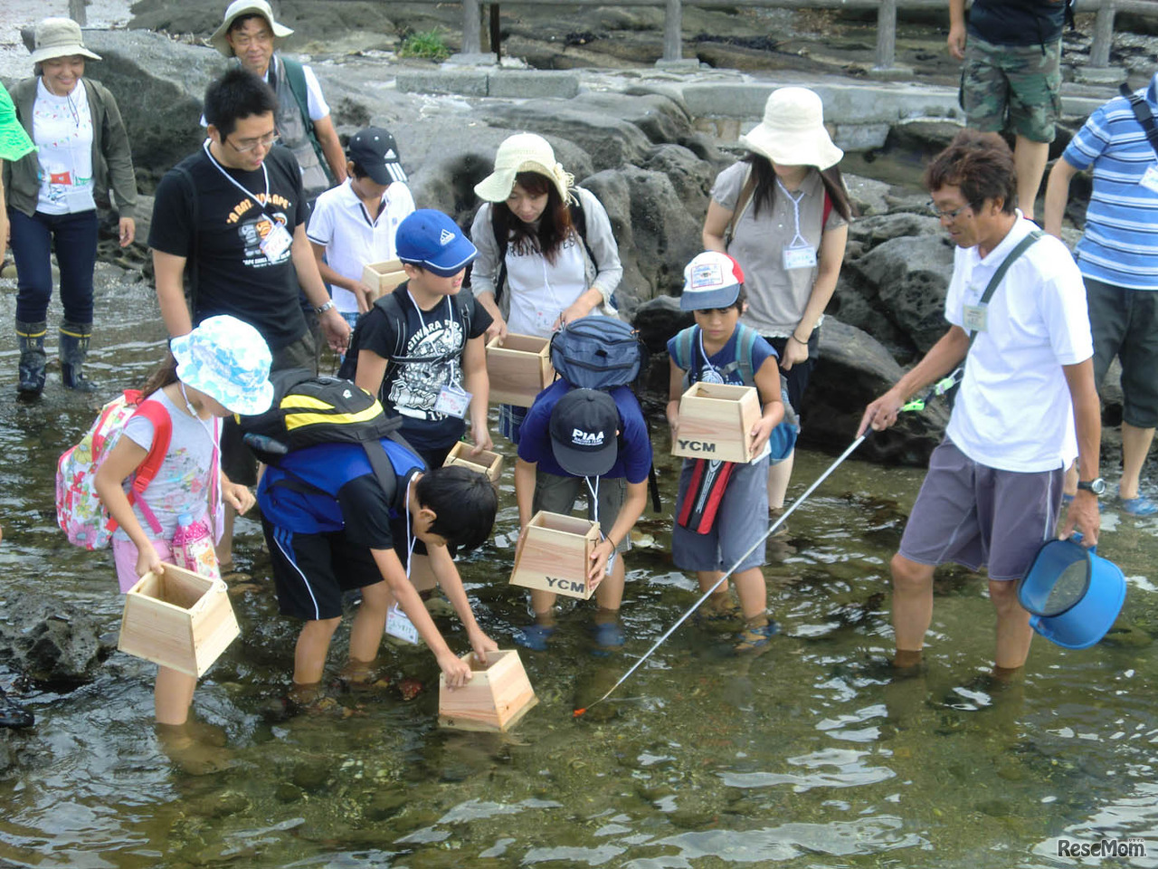 サニエルおやこネイチャーツアー、前年の様子