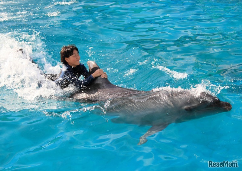 鴨川シーワールド ジュニアトレーナー