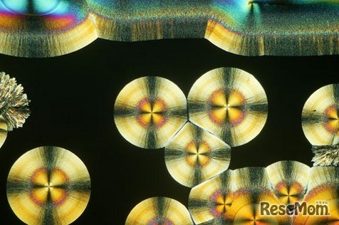 顕微鏡写真　ビタミンCの結晶