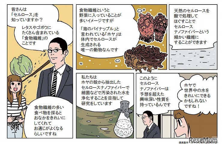 7/23 芹澤武教授