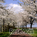 宮沢賢治の故郷、岩手県花巻市