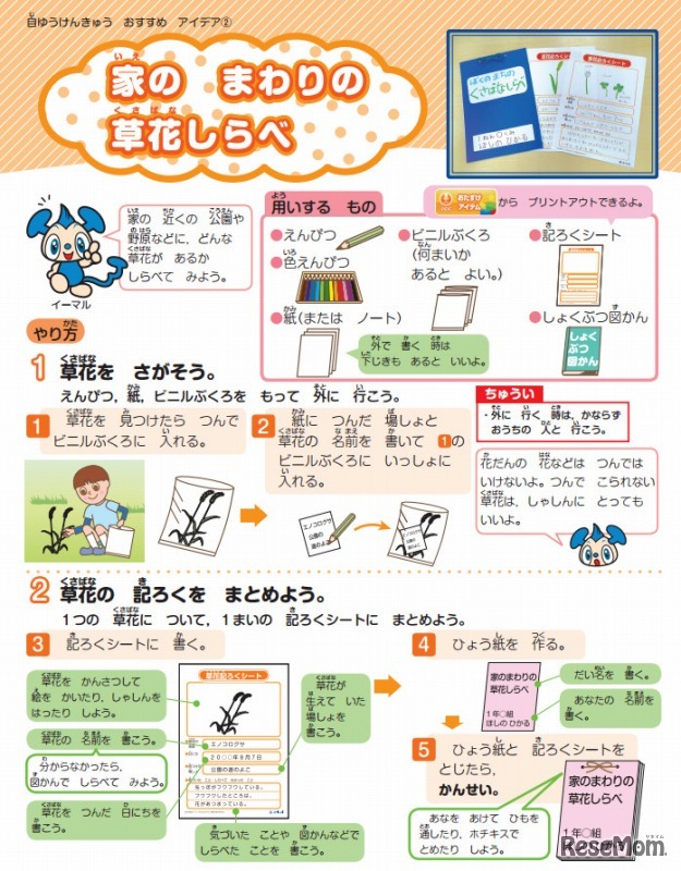 家のまわりの草花しらべ