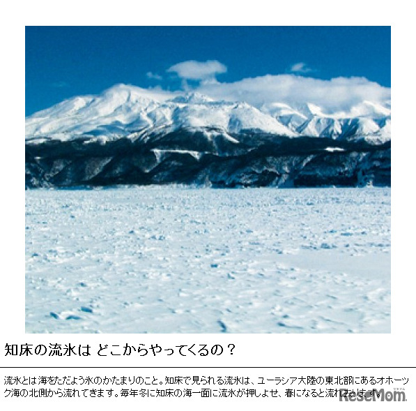 知床の流氷は どこからやってくるの？