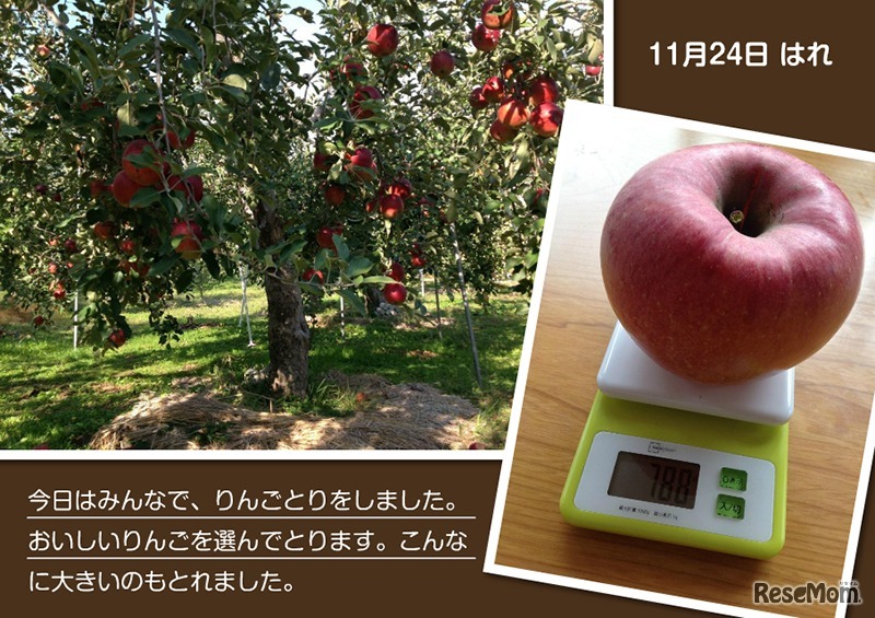 「ピッケのつくるプレゼンテーション」制作例