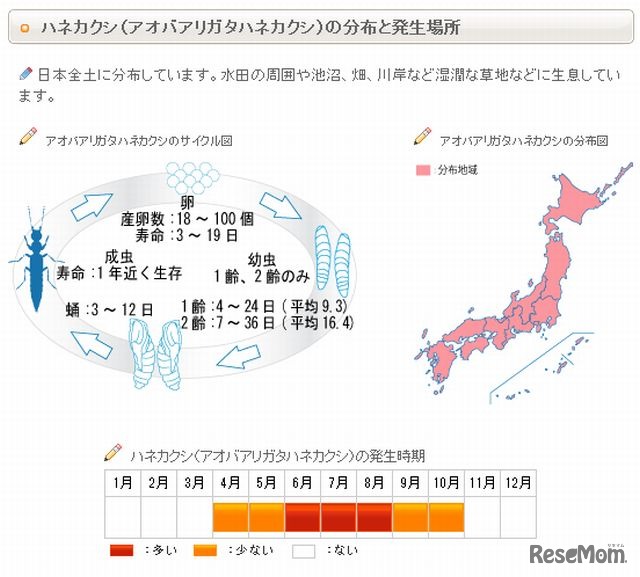 アオバアリガタハネカクシの分布と発生場所