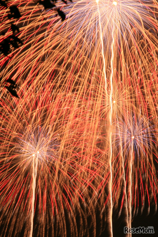 フォートラベル「全国花火大会特集」