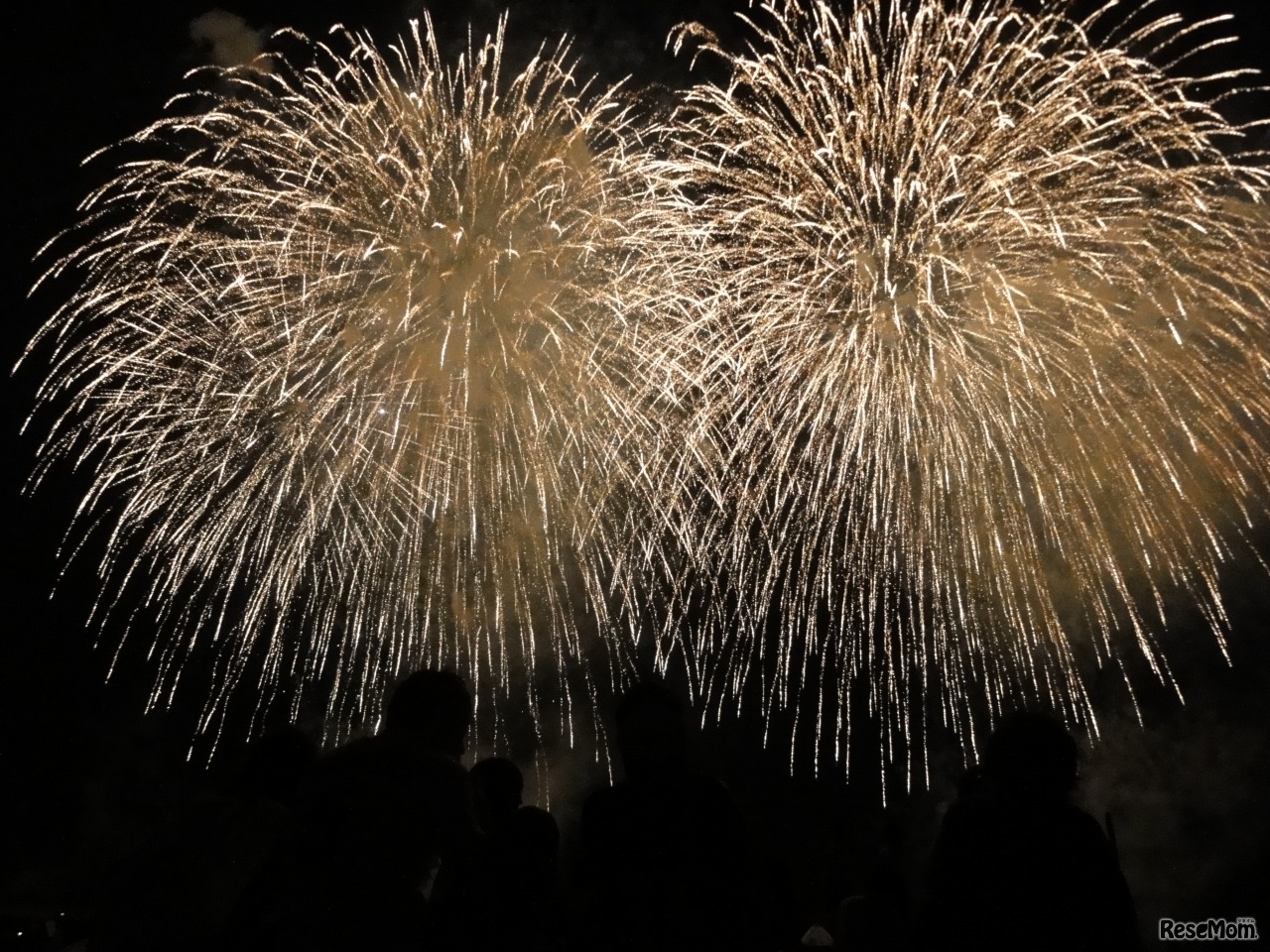 フォートラベル「全国花火大会特集」