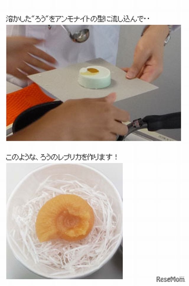 ろうで作るアンモナイトのレプリカ