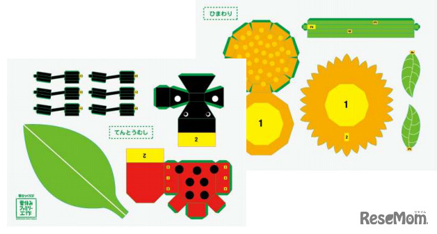 ペーパークラフトの展開図例（左：てんとうむし、右：ひまわり）