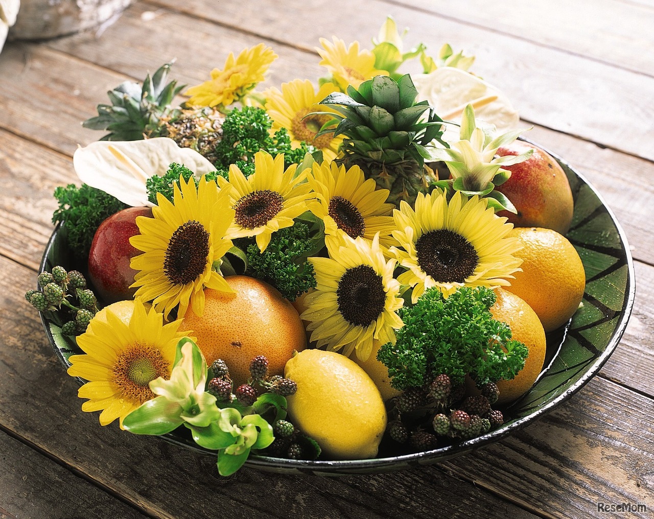 サマーサンリッチ オレンジ 45