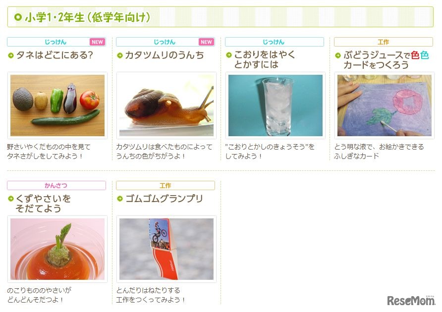 小学1・2年生（低学年向け）のコーナー