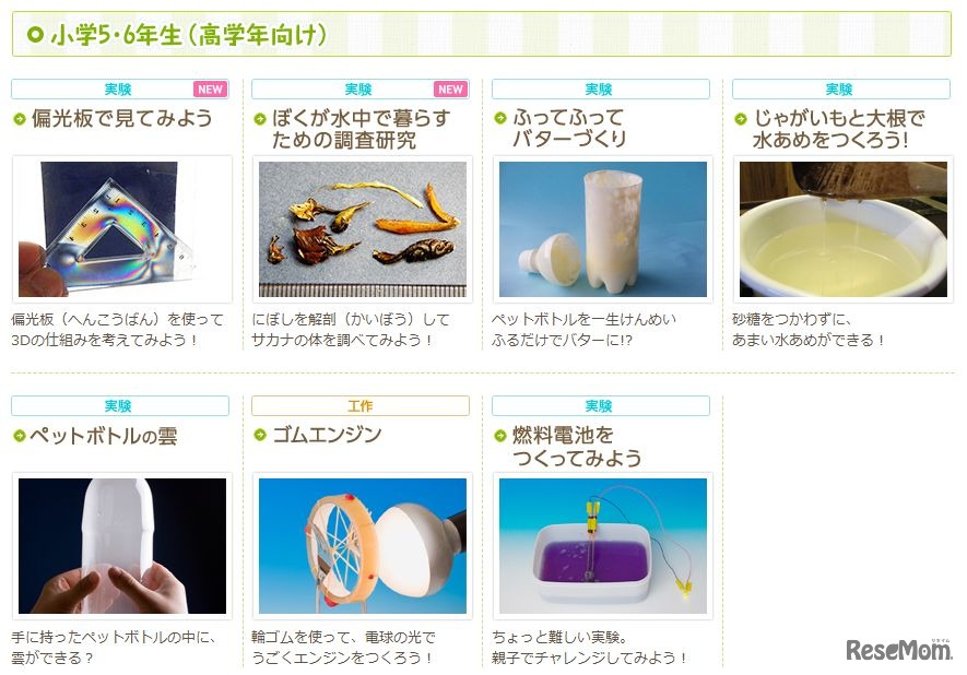 小学5・6年生（高学年向け）のコーナー