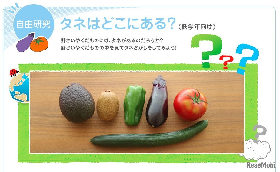 自由研究のくわしい紹介ページ