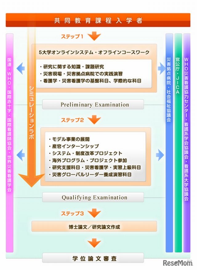 共同教育課程の主な内容と流れ