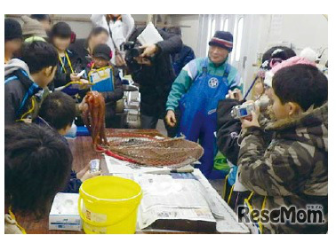 さまざまなESD環境教育プログラムを実施