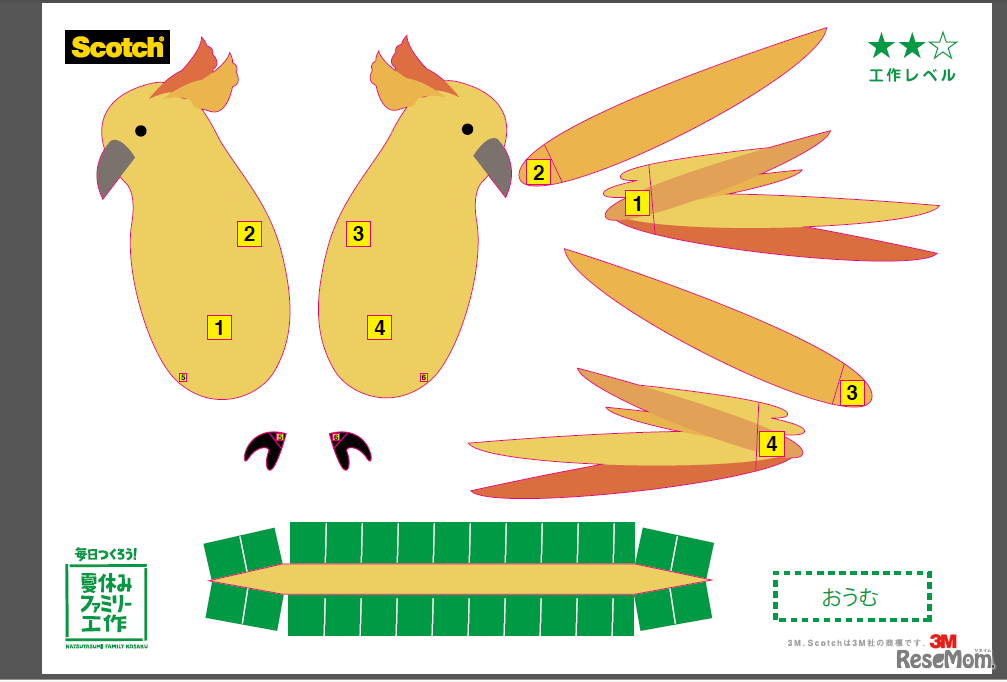 オウムの展開図