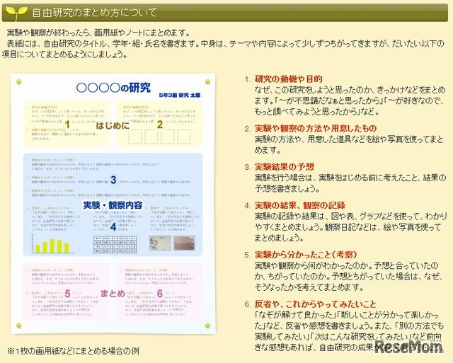 自由研究のまとめ方