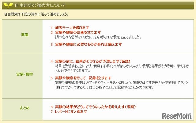 自由研究の進め方
