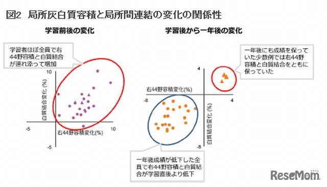 局所灰白質容積と局所間連結の変化の関係性
