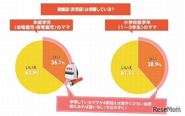 避難袋（非常袋）を準備しているか