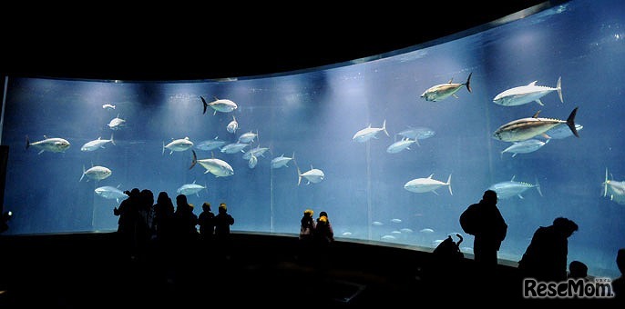 葛西臨海水族園